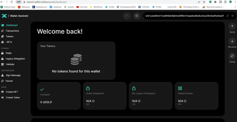 How to create a MultiversX Testnet Wallet