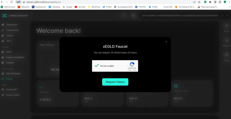 How to create a MultiversX Testnet Wallet