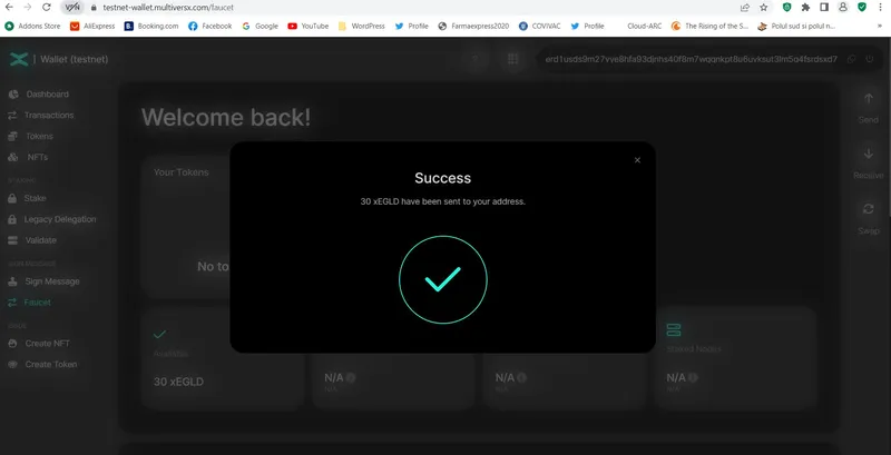 How to create a MultiversX Testnet Wallet