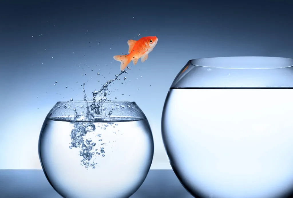 All about liquidity pools